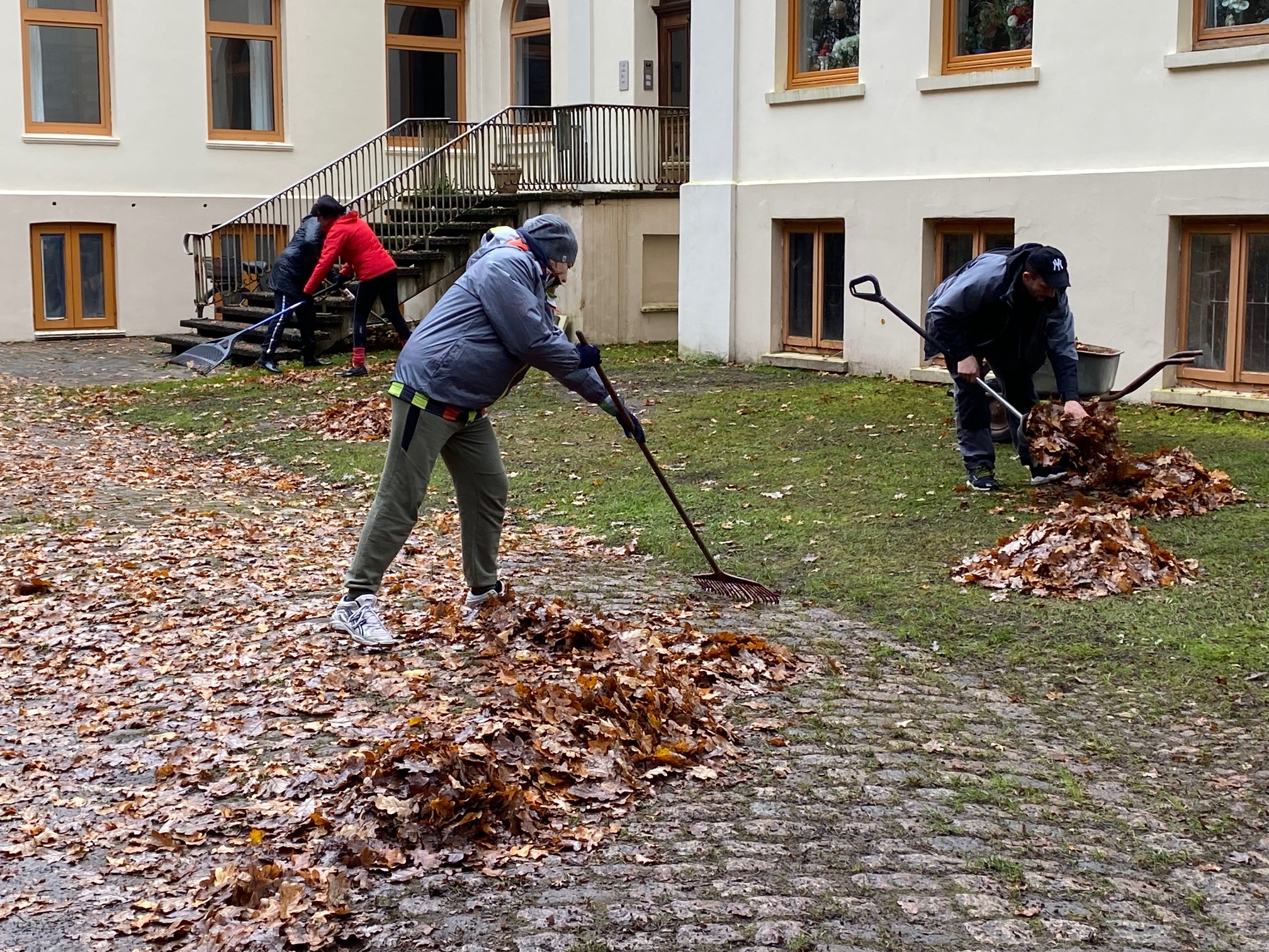 Laub entfernen Breidings Garten