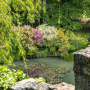 Breidings Garten, Soltau, Veranstaltungen